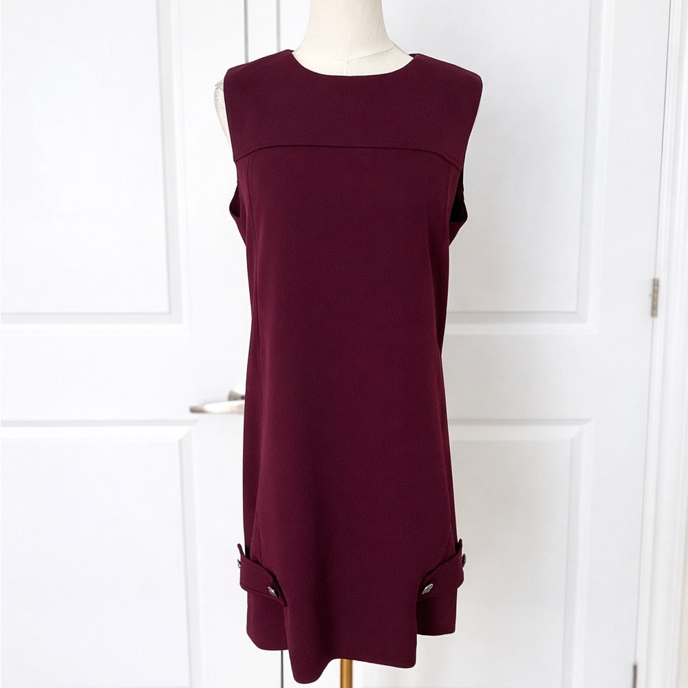 BCBG Rich Burgundy Mini Dress